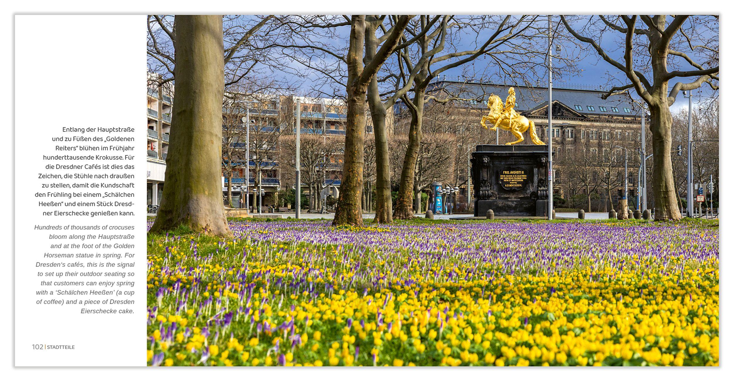 Beispielinhalt (Bild) Bildband Dresden