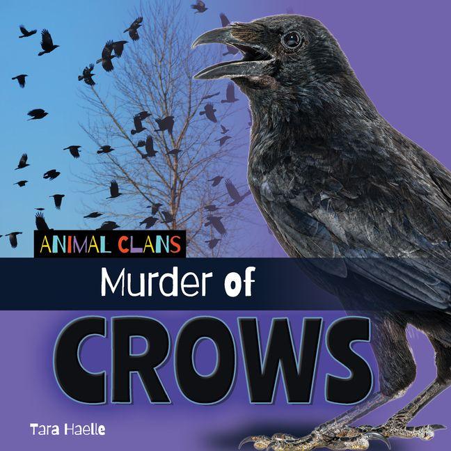 Vorderes Coverbild Murder of Crows