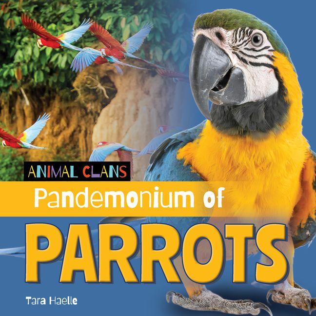 Vorderes Coverbild Pandemonium of Parrots