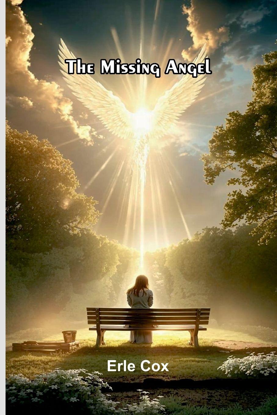 Vorderes Coverbild The Missing Angel