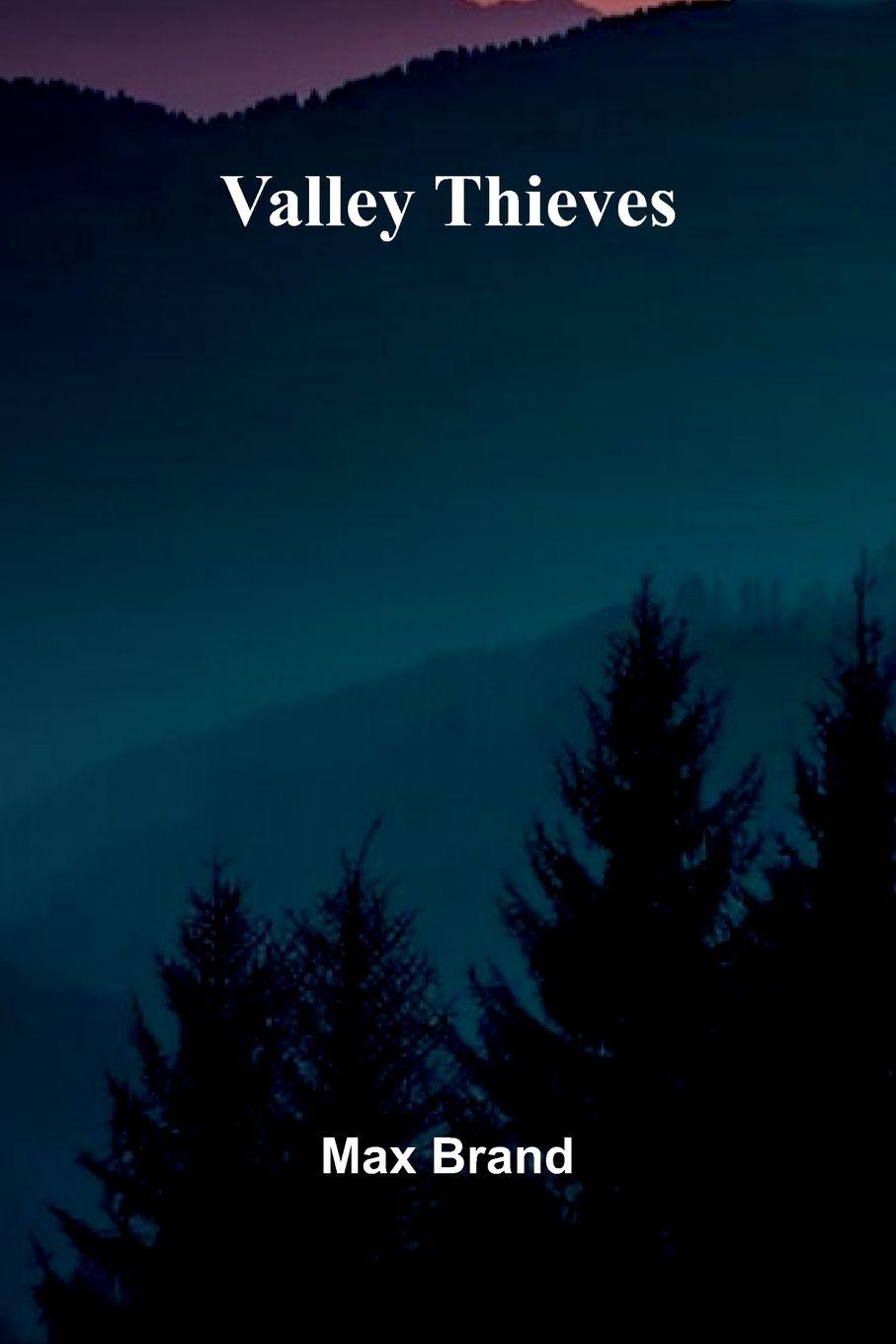 Vorderes Coverbild Valley Thieves