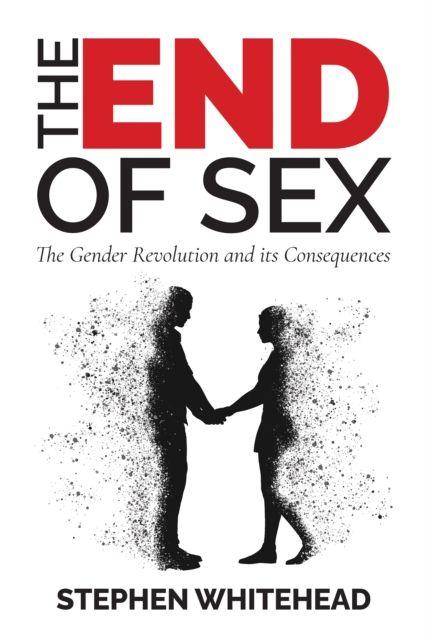 Vorderes Coverbild The End of Sex