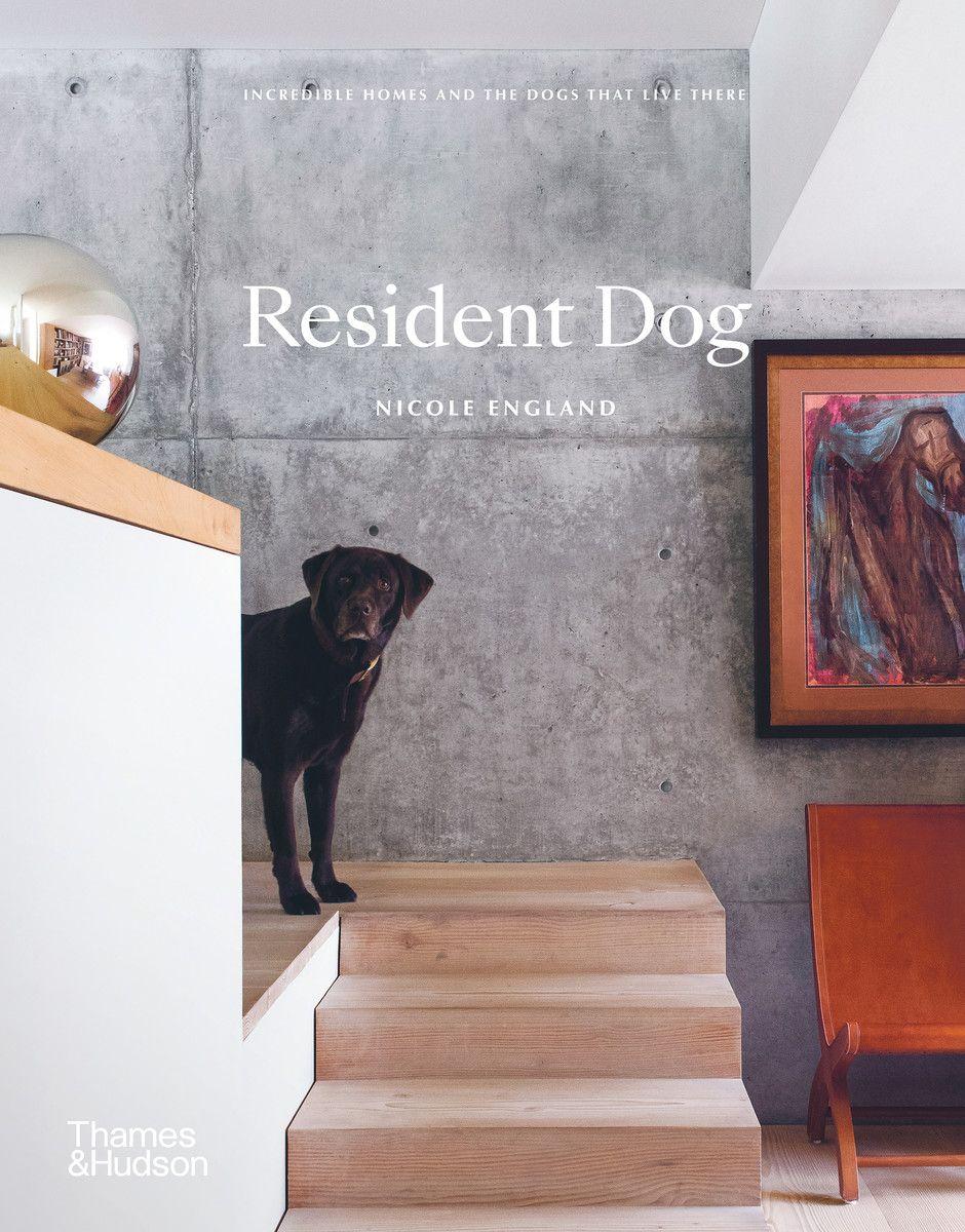 Vorderes Coverbild Resident Dog