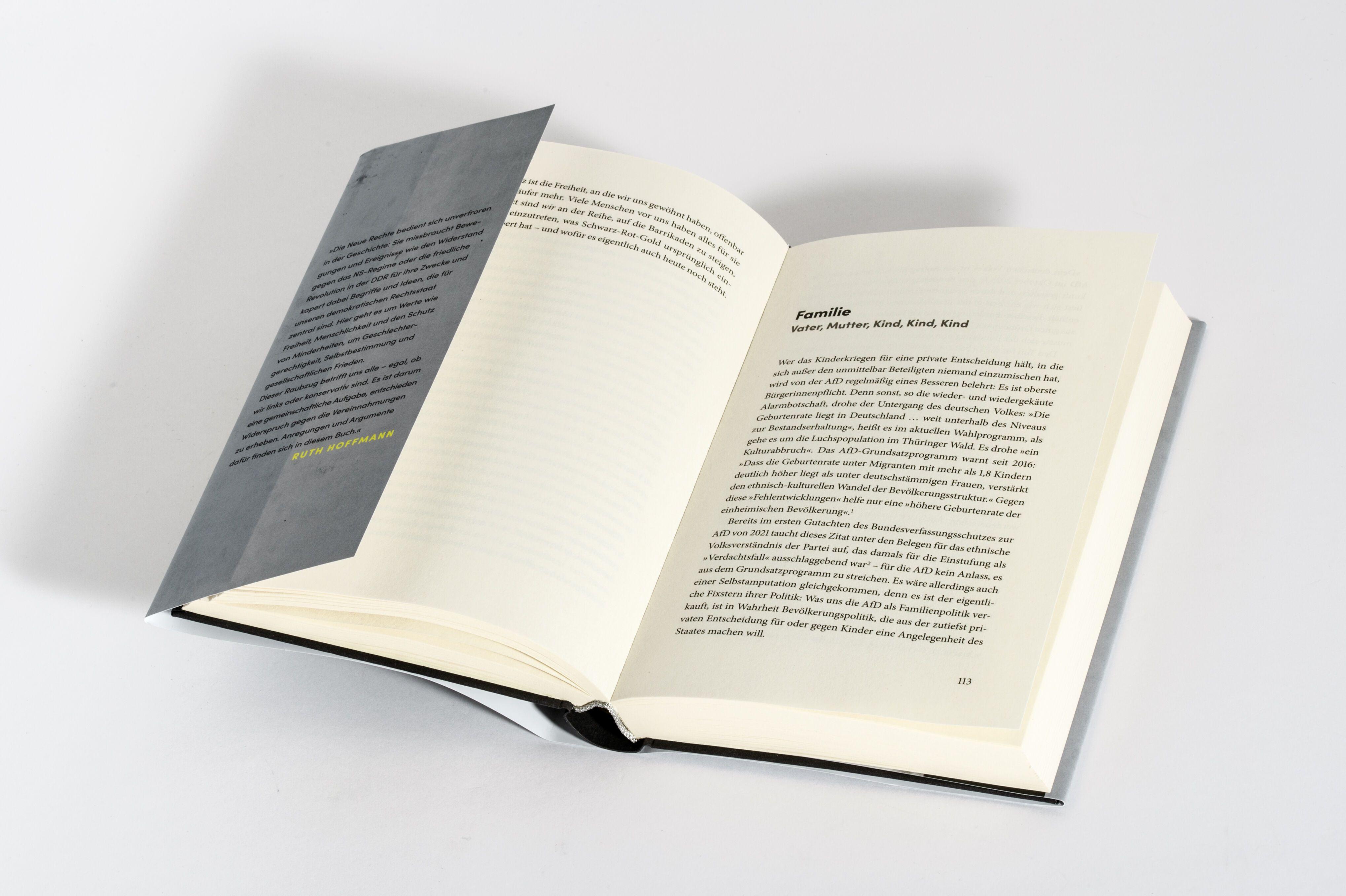 Beispielinhalt (Bild) Raubzug von rechts