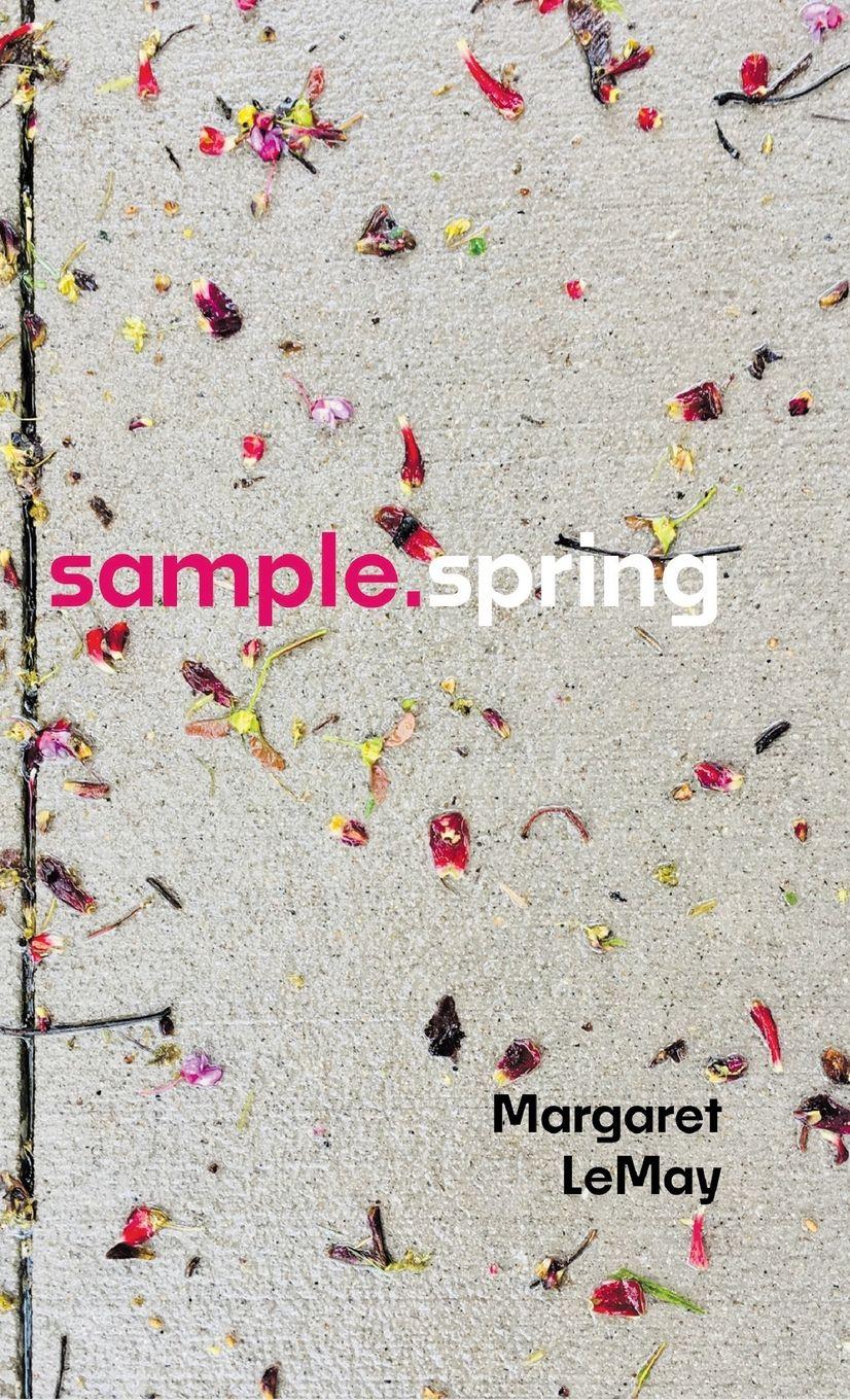 Vorderes Coverbild sample.spring