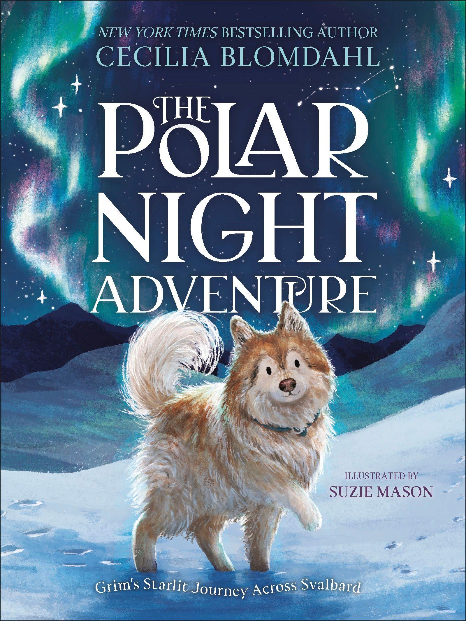 Vorderes Coverbild The Polar Night Adventure