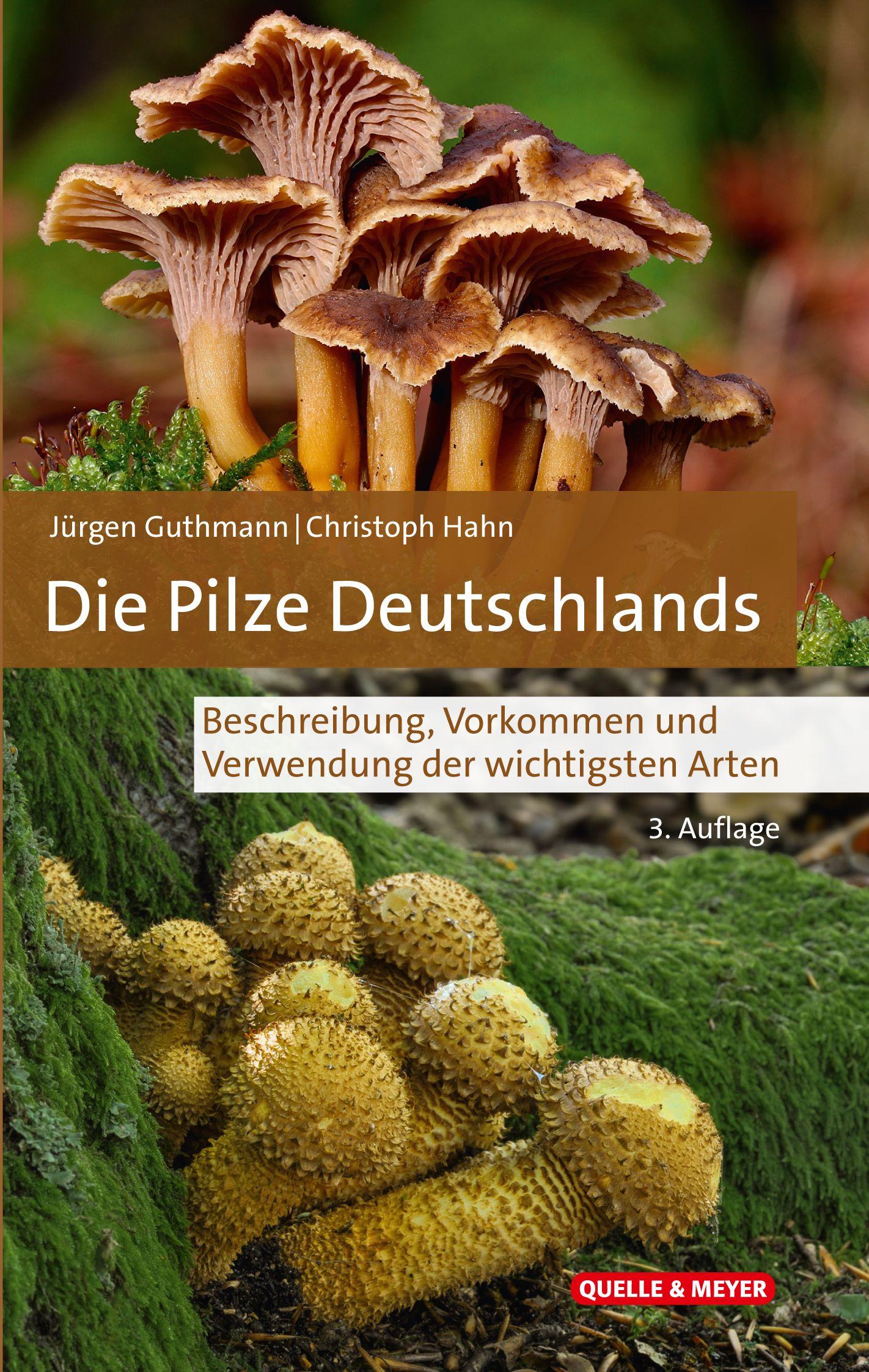 Vorderes Coverbild Die Pilze Deutschlands