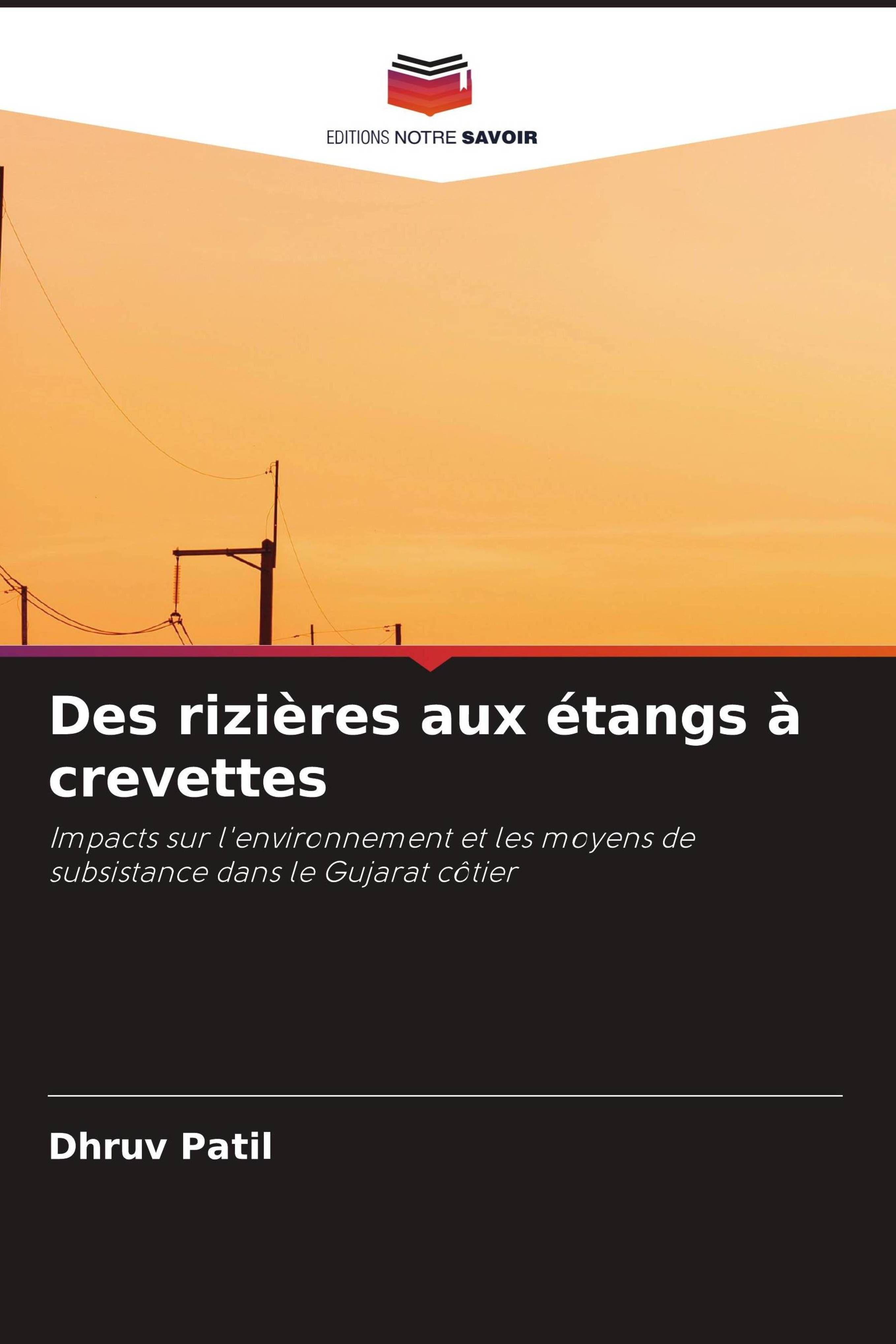 Vorderes Coverbild Des rizières aux étangs à crevettes