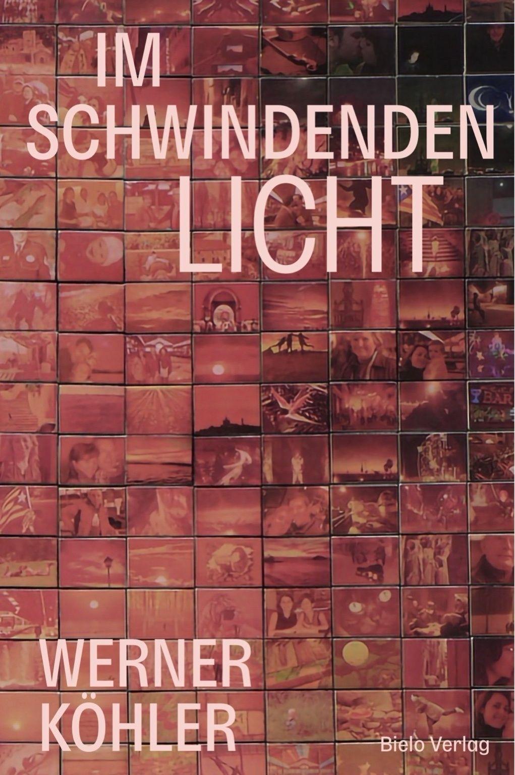 Vorderes Coverbild IM SCHWINDENDEN LICHT