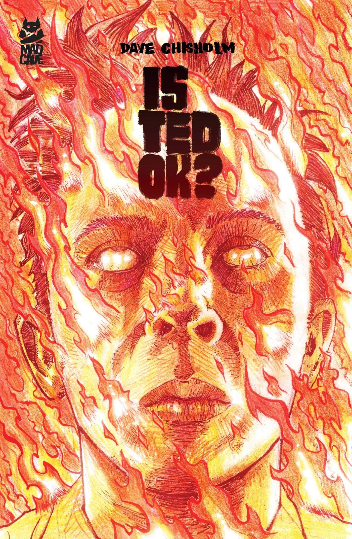 Vorderes Coverbild Is Ted Ok?