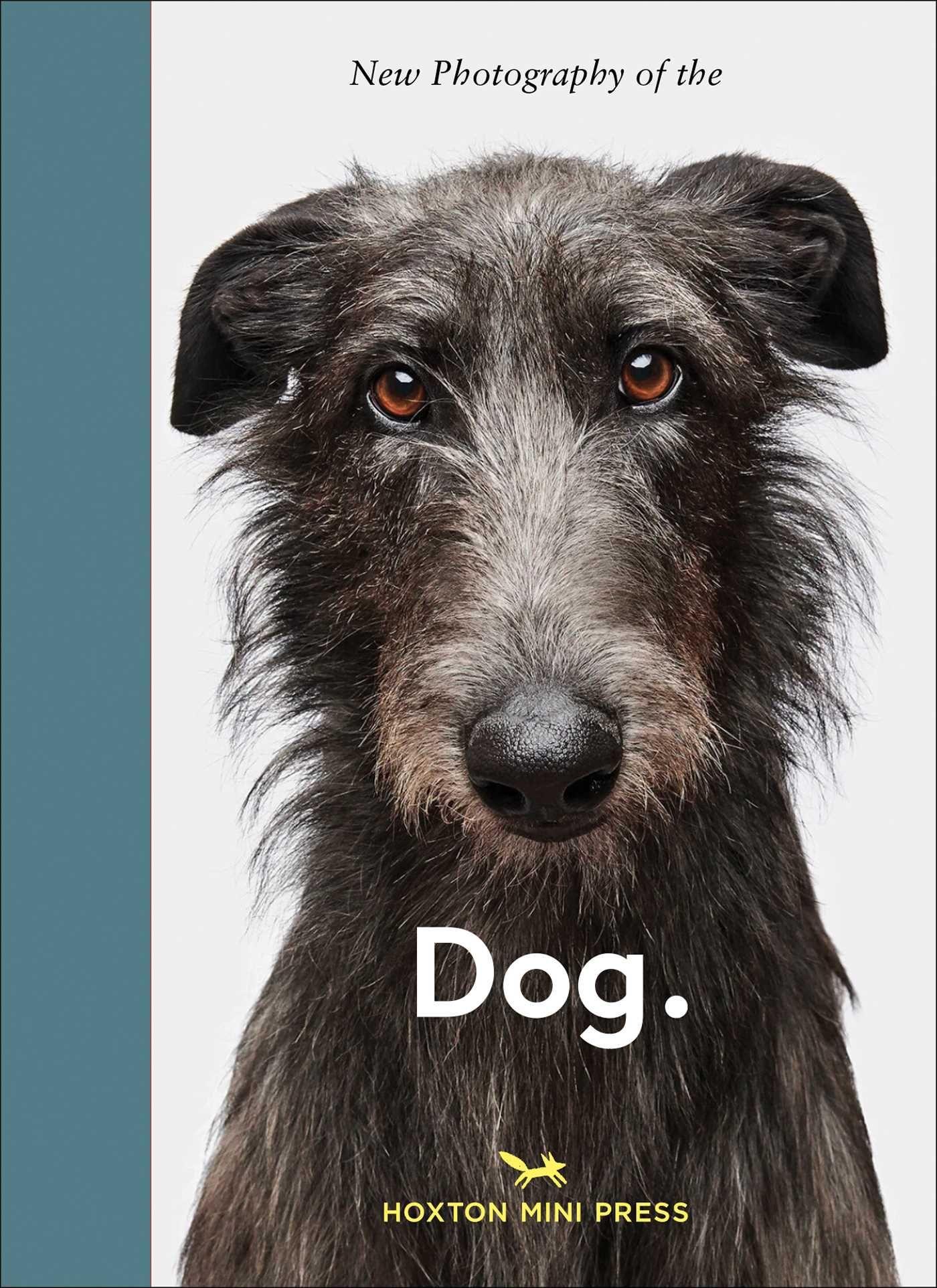 Vorderes Coverbild New Photography of the Dog.