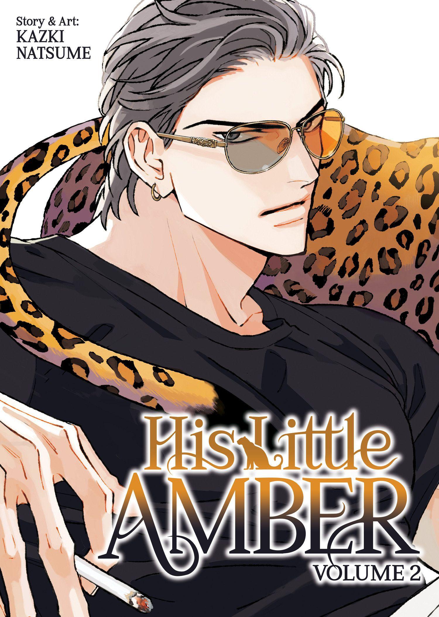 Vorderes Coverbild His Little Amber Vol. 2