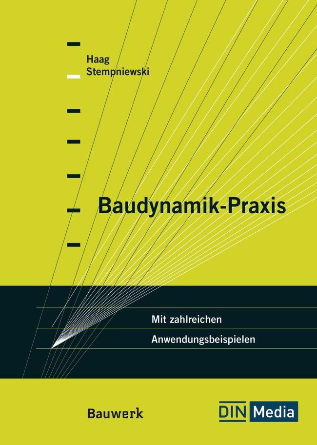 Vorderes Coverbild Baudynamik-Praxis