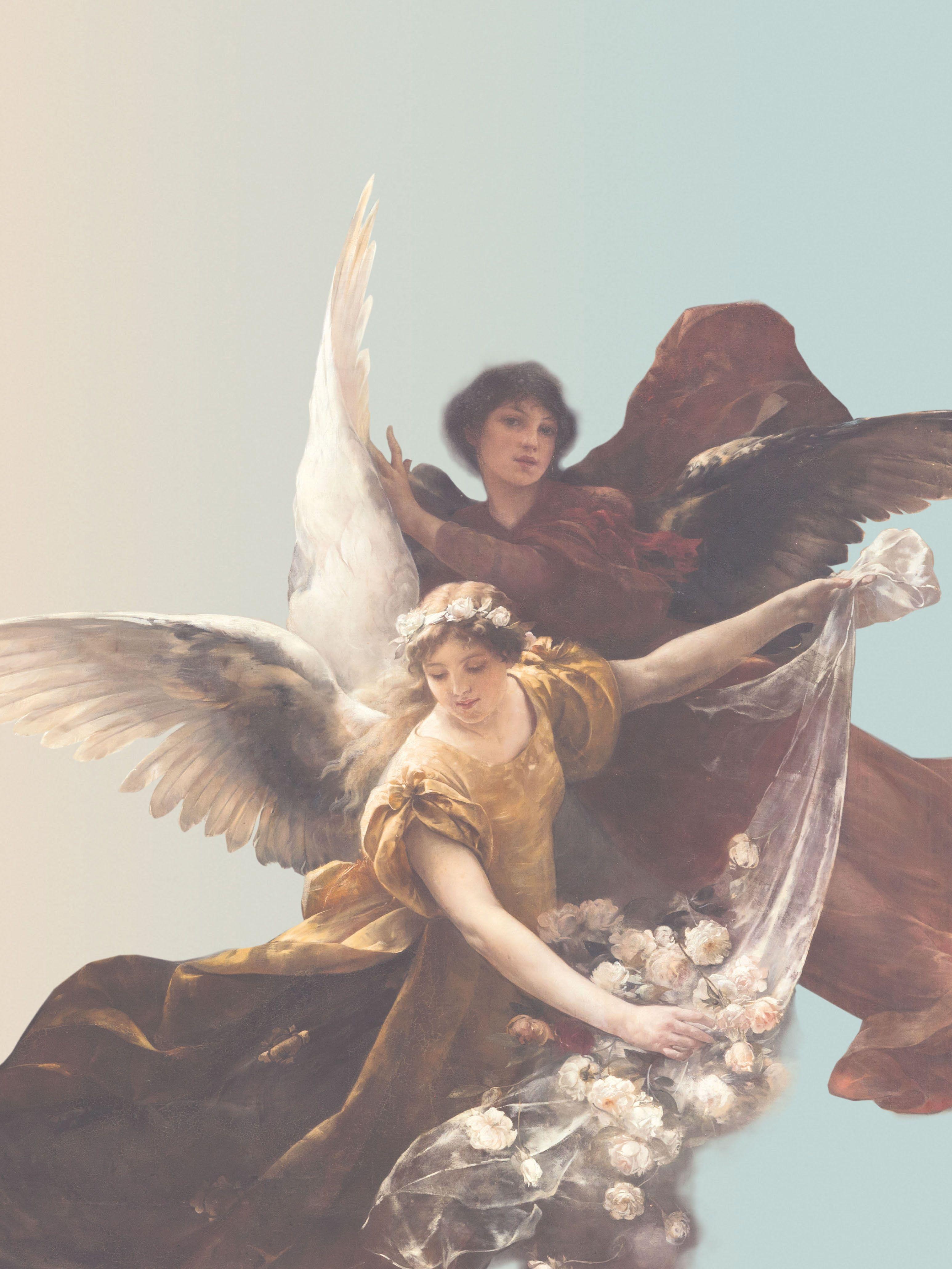 Vorderes Coverbild Himmlisches Wiedersehen