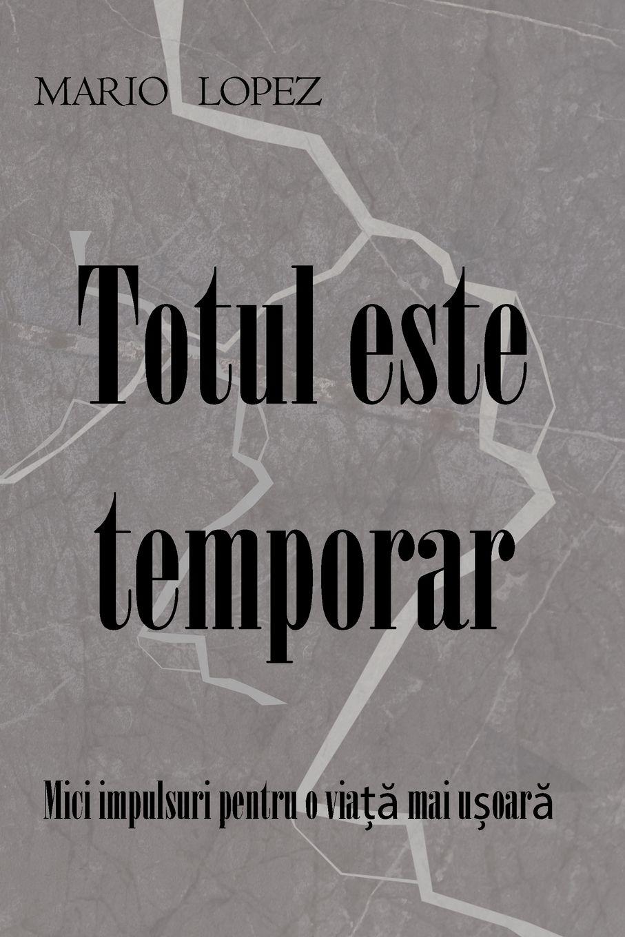 Vorderes Coverbild Totul este temporar