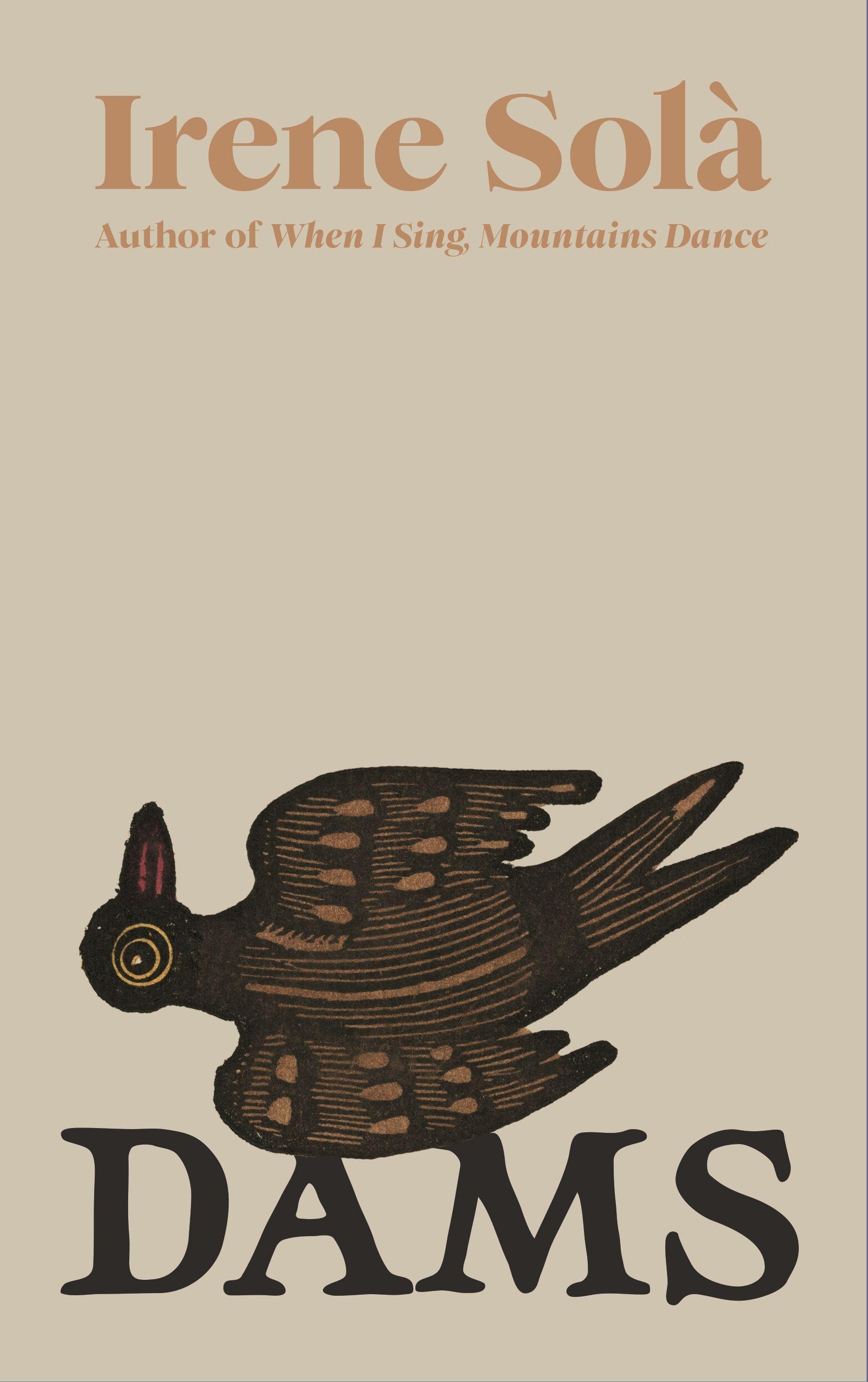 Vorderes Coverbild Dams