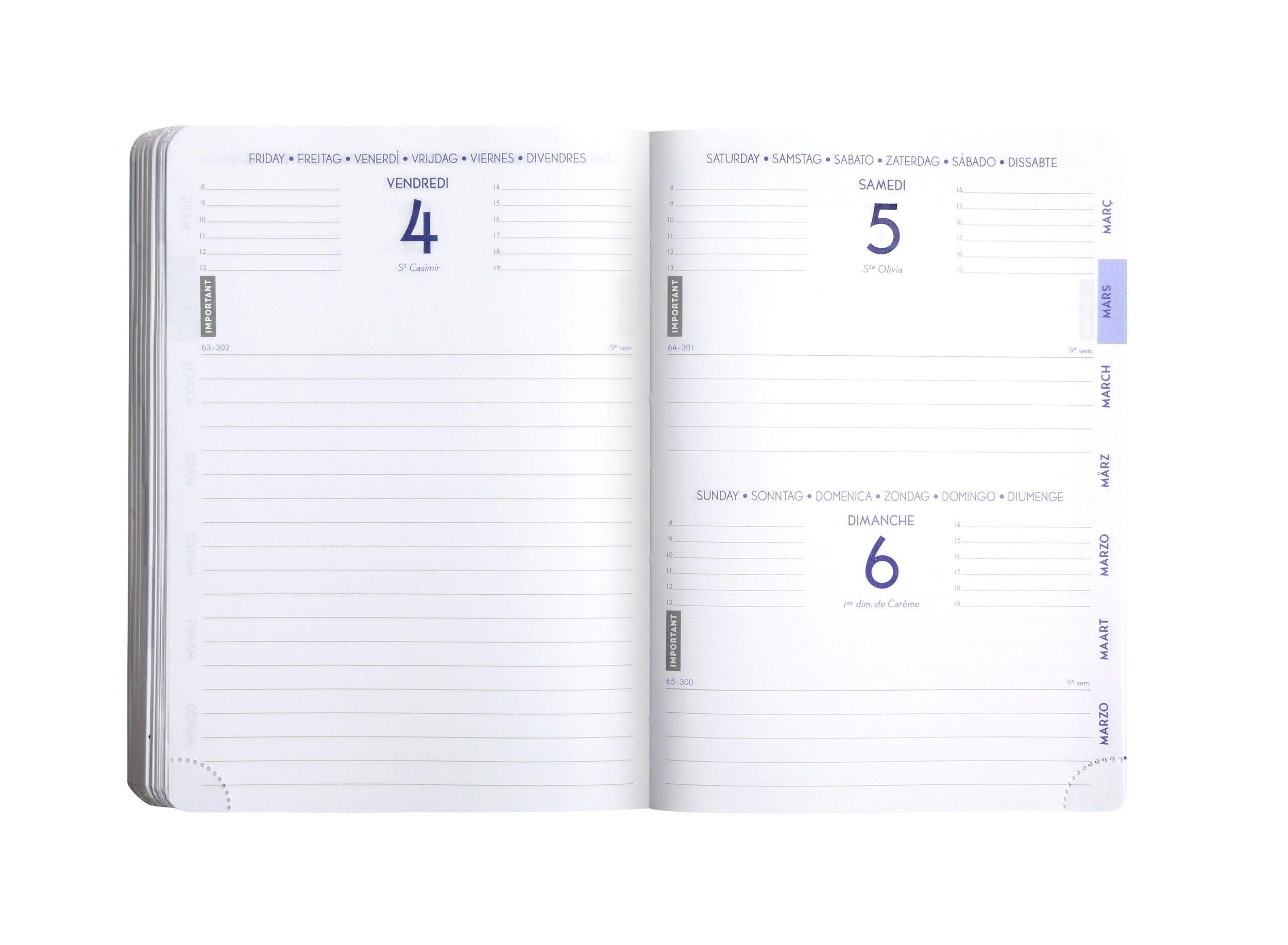 Beispielinhalt (Bild) Schülerkalender, Forum Metric sort 2026 / 2027