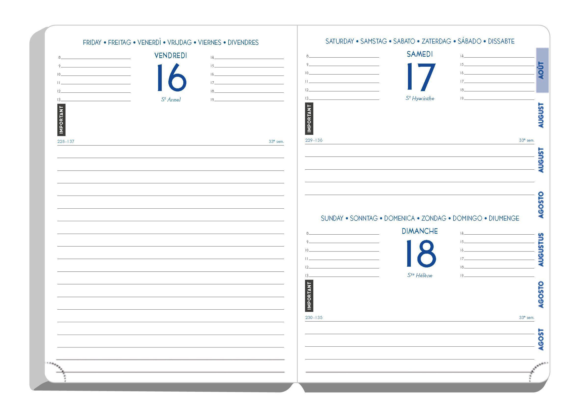 Beispielinhalt (Bild) Schülerkalender, Forum Metric sort 2026 / 2027