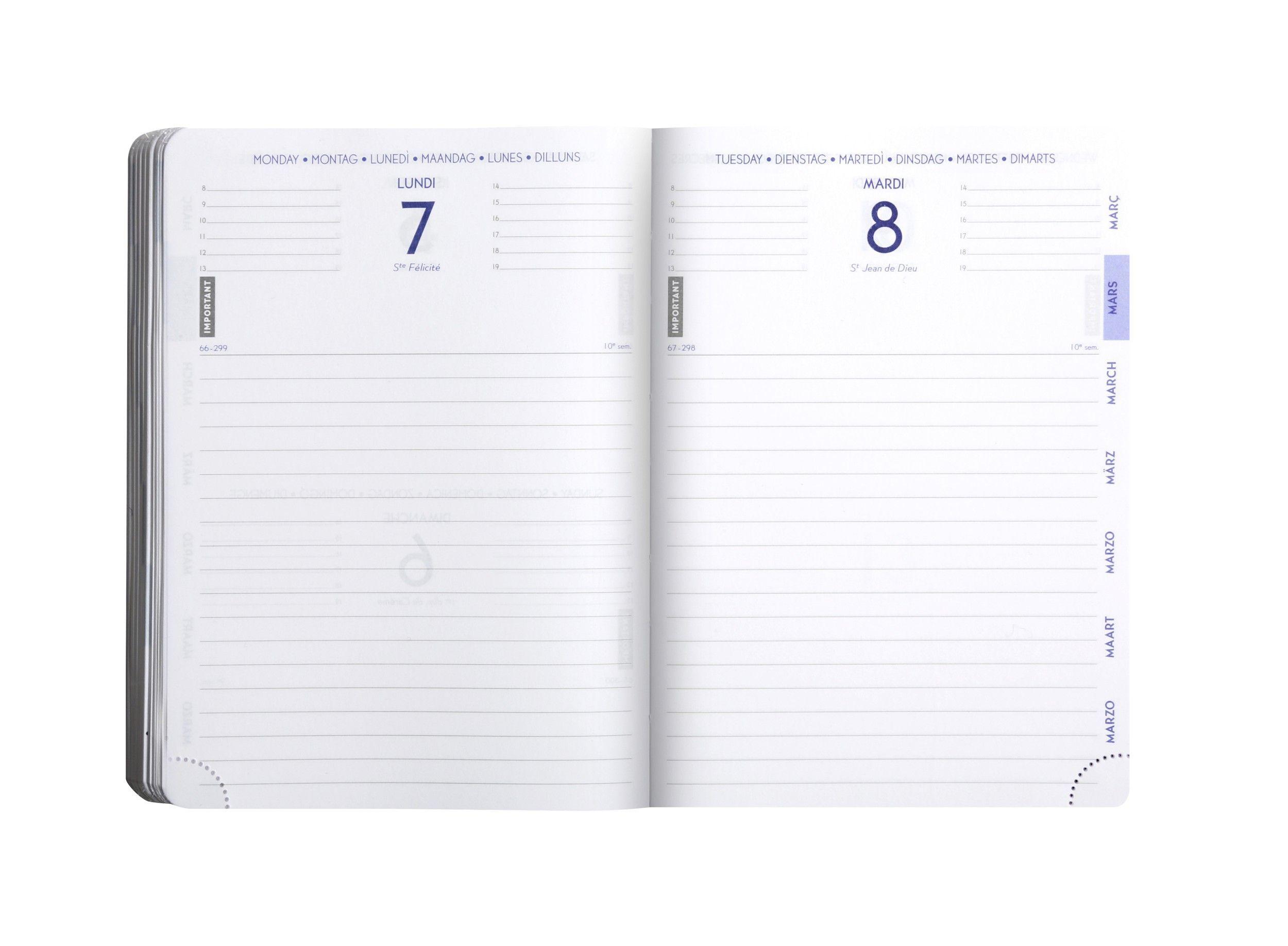 Beispielinhalt (Bild) Schülerkalender Forum Eden st 2026 / 2027