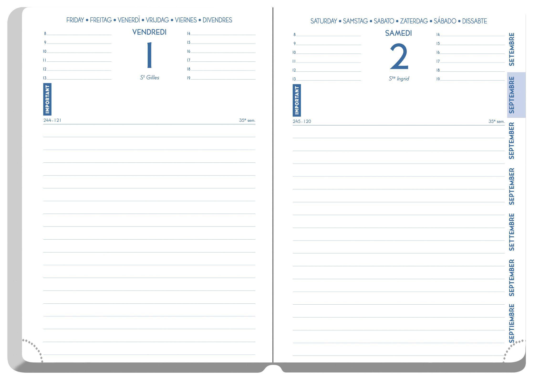 Beispielinhalt (Bild) Schülerkalender Forum Office Winner 2026 / 2027