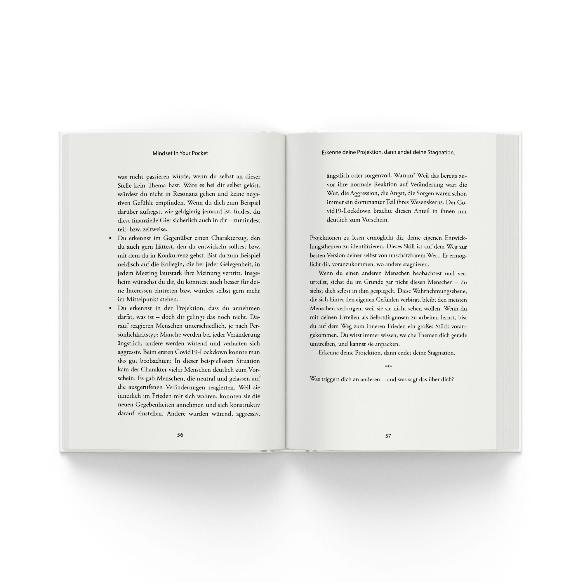 Beispielinhalt (Bild) Meistere dein Mindset