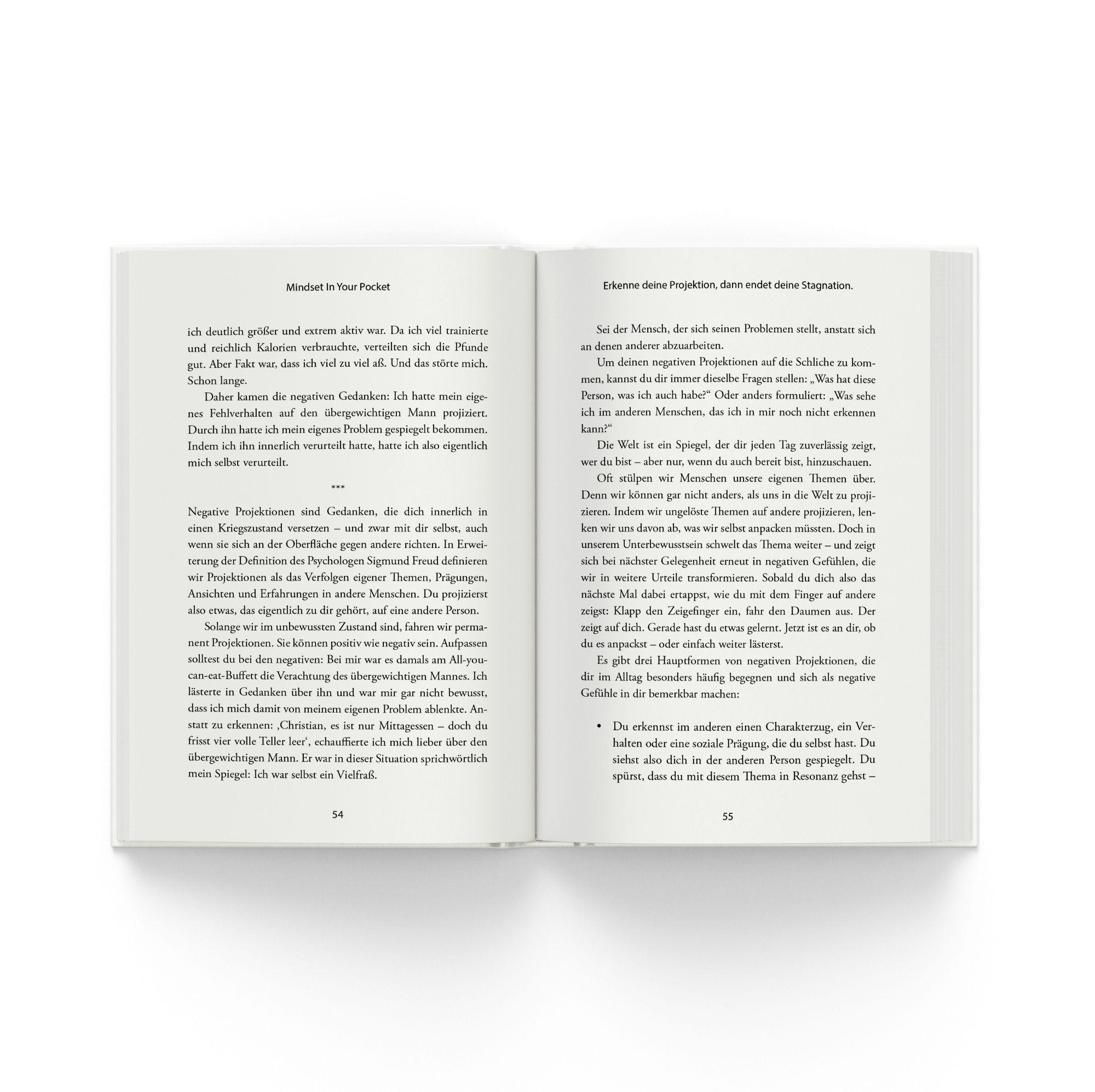 Beispielinhalt (Bild) Meistere dein Mindset