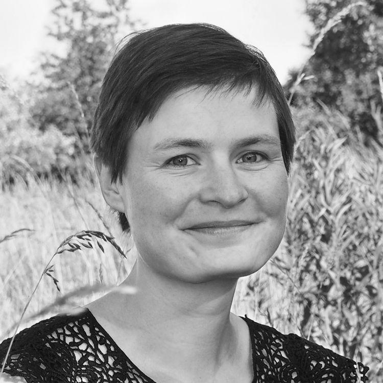 Autorenbild Die zwölfte Zofe