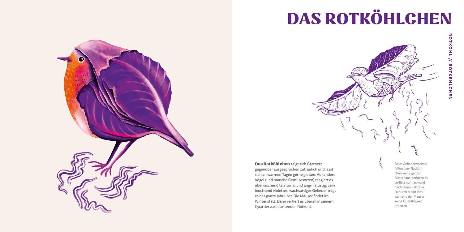 Beispielinhalt (Bild) Gemüsevögel