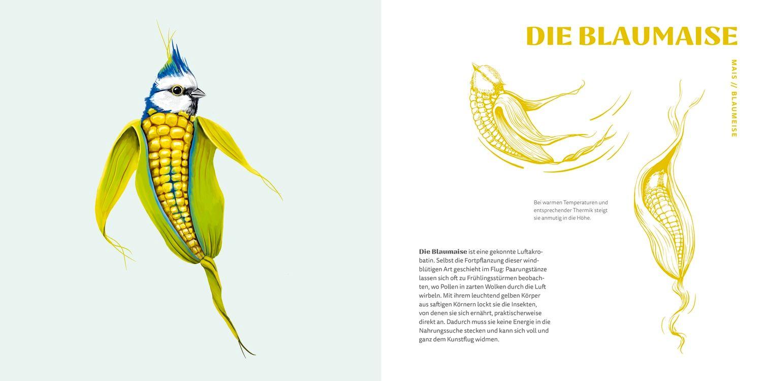 Beispielinhalt (Bild) Gemüsevögel