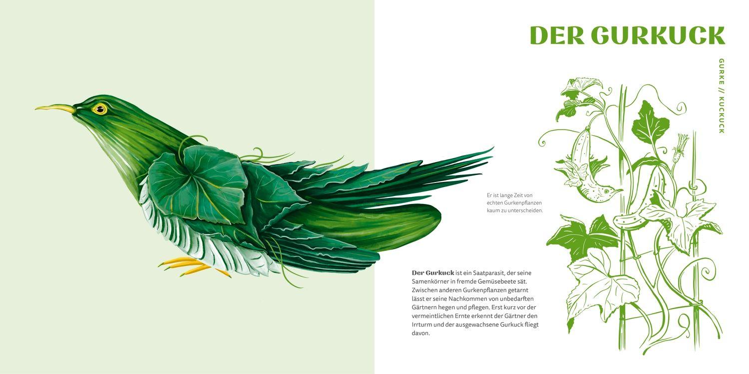 Beispielinhalt (Bild) Gemüsevögel
