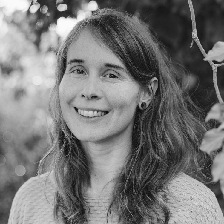 Autorenbild Gemüsevögel