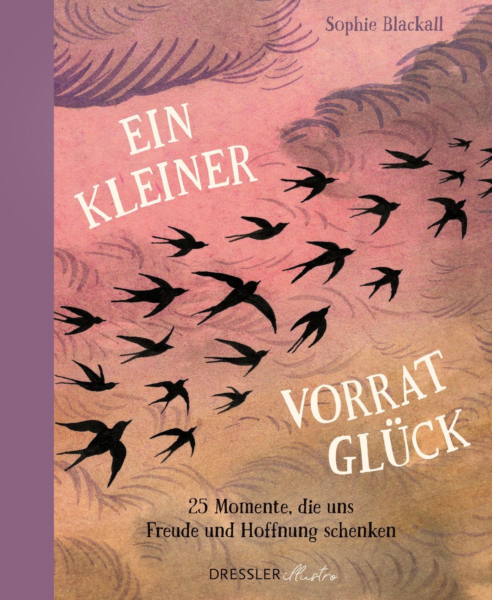 Vorderes Coverbild Ein kleiner Vorrat Glück