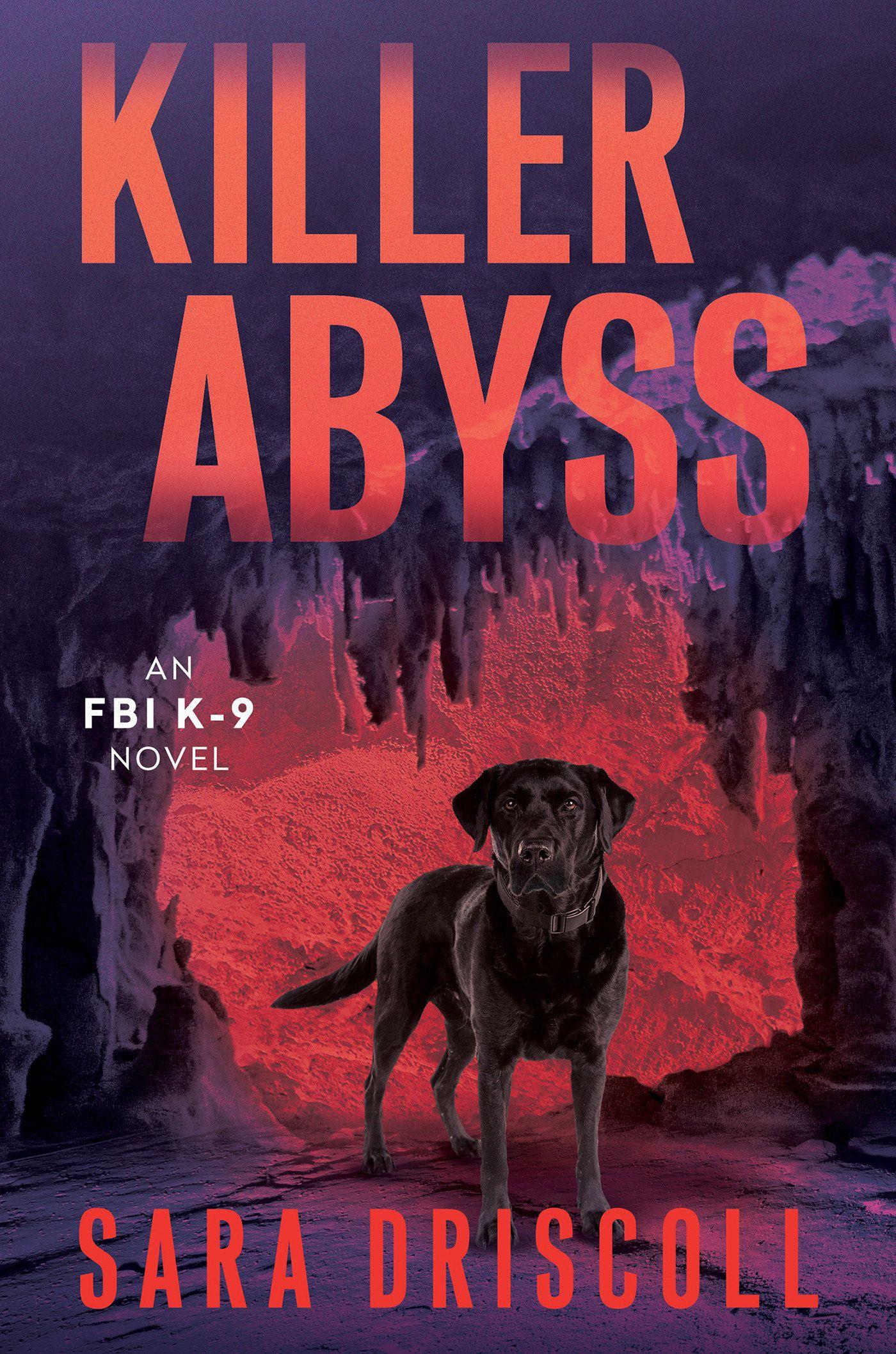 Vorderes Coverbild Killer Abyss