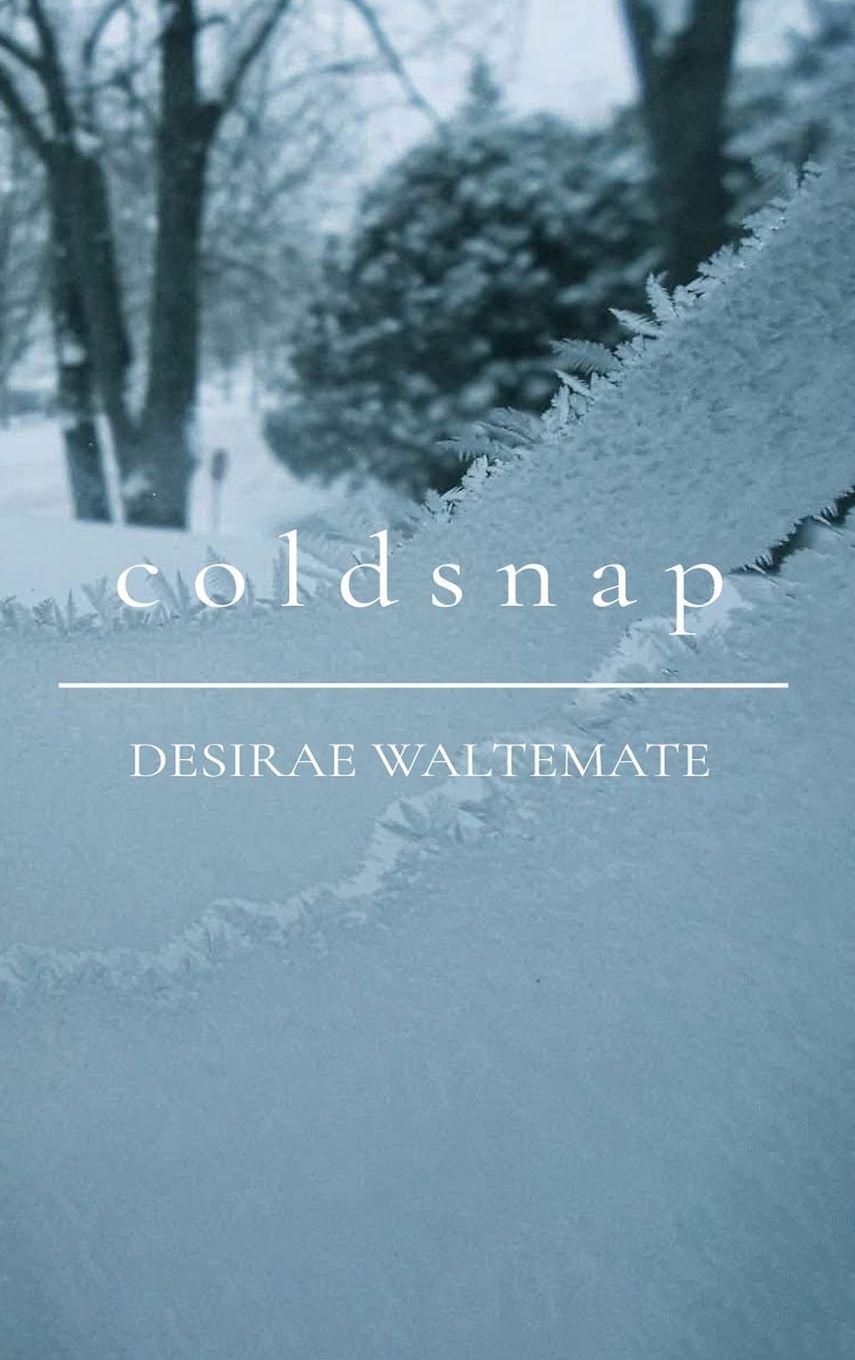 Vorderes Coverbild Coldsnap