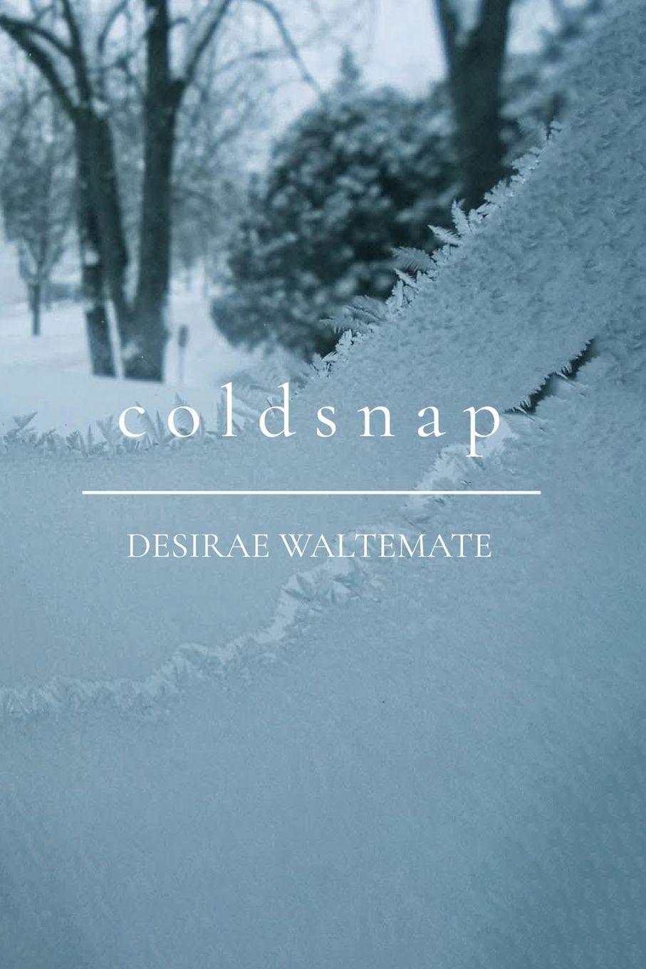 Vorderes Coverbild Coldsnap