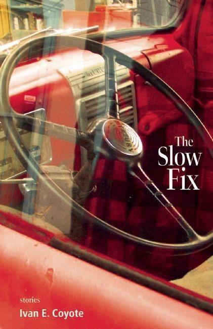 Vorderes Coverbild The Slow Fix