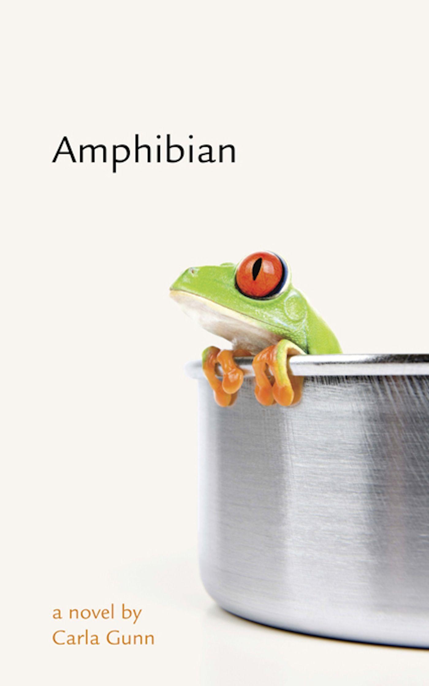 Vorderes Coverbild Amphibian