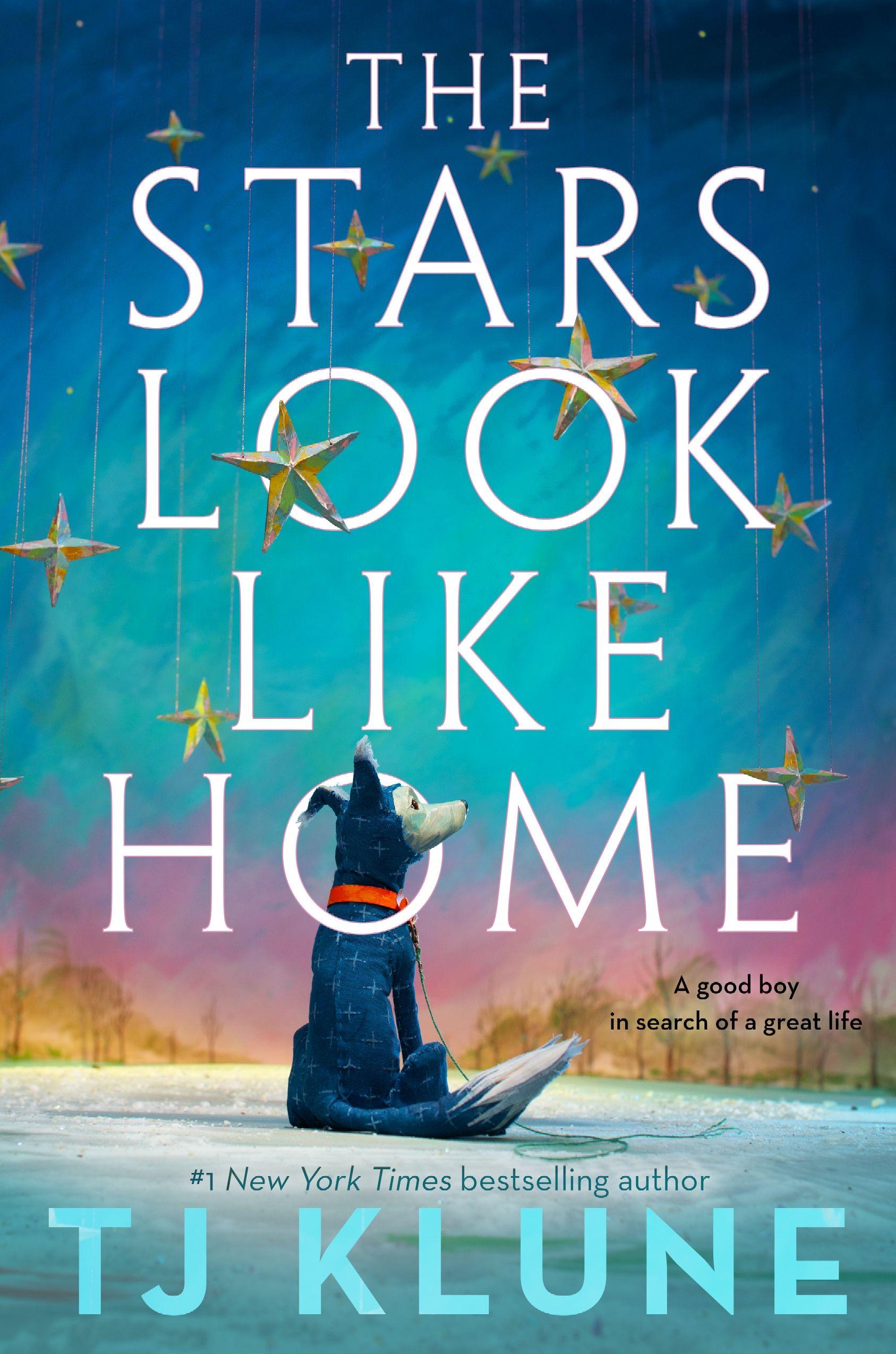 Vorderes Coverbild The Stars Look Like Home