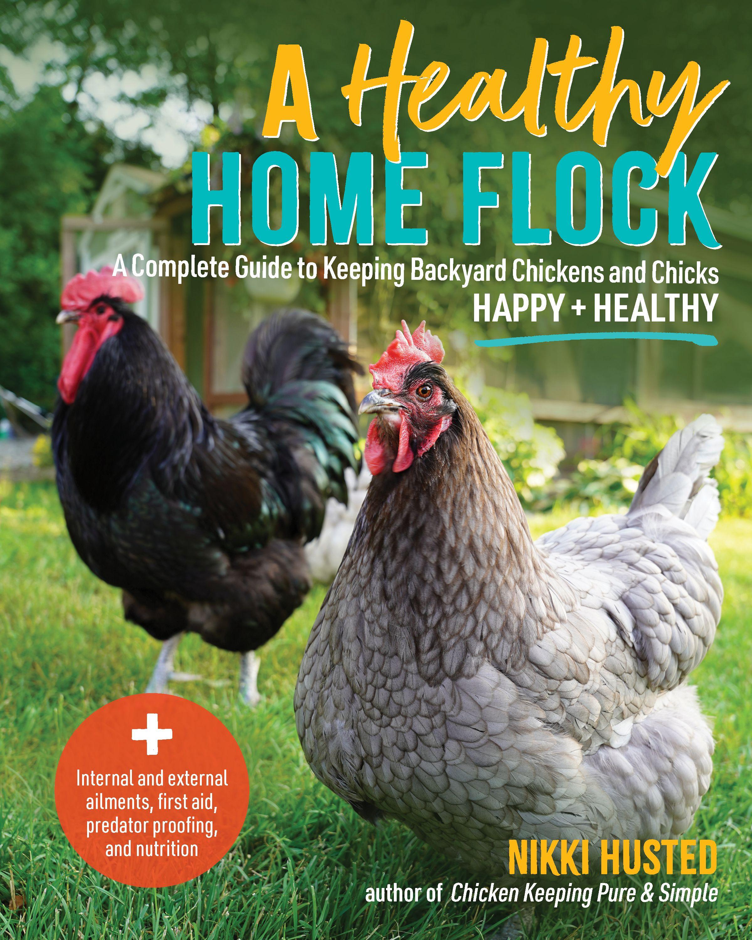 Vorderes Coverbild A Healthy Home Flock