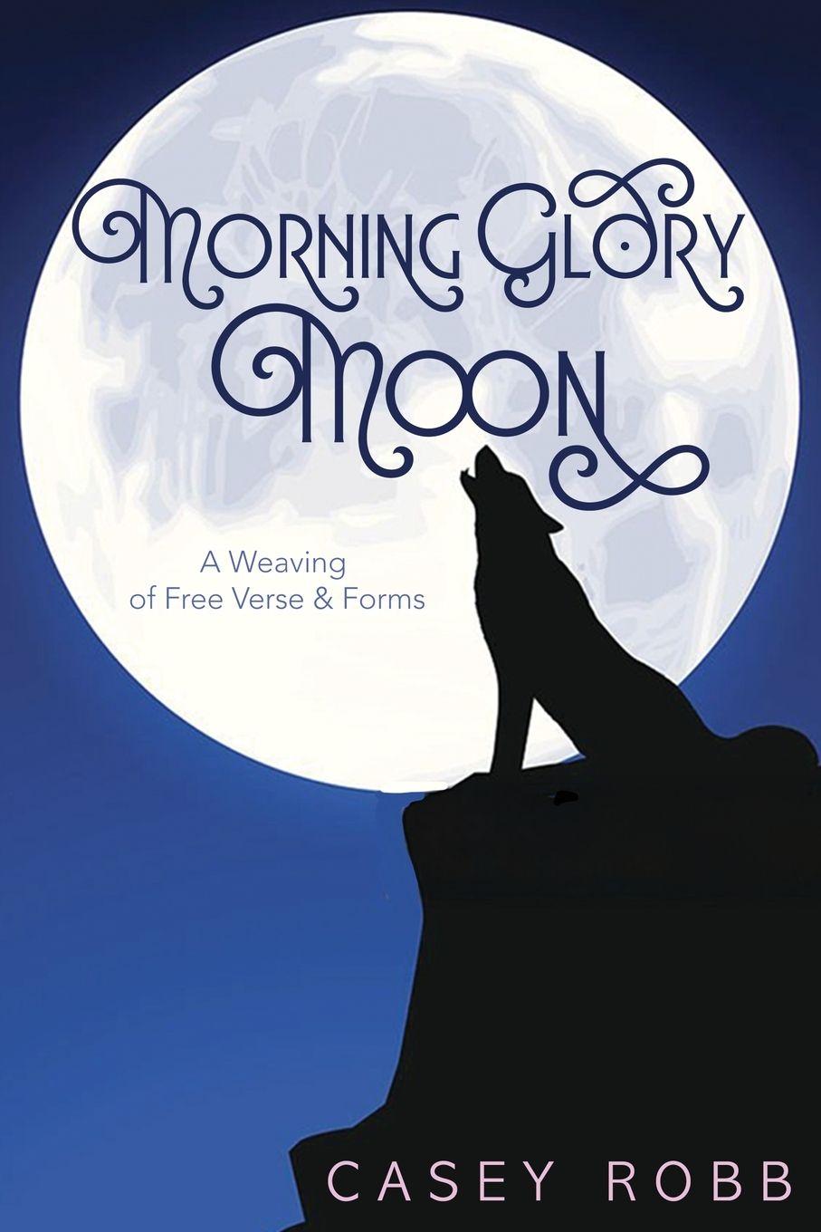 Vorderes Coverbild Morning Glory Moon