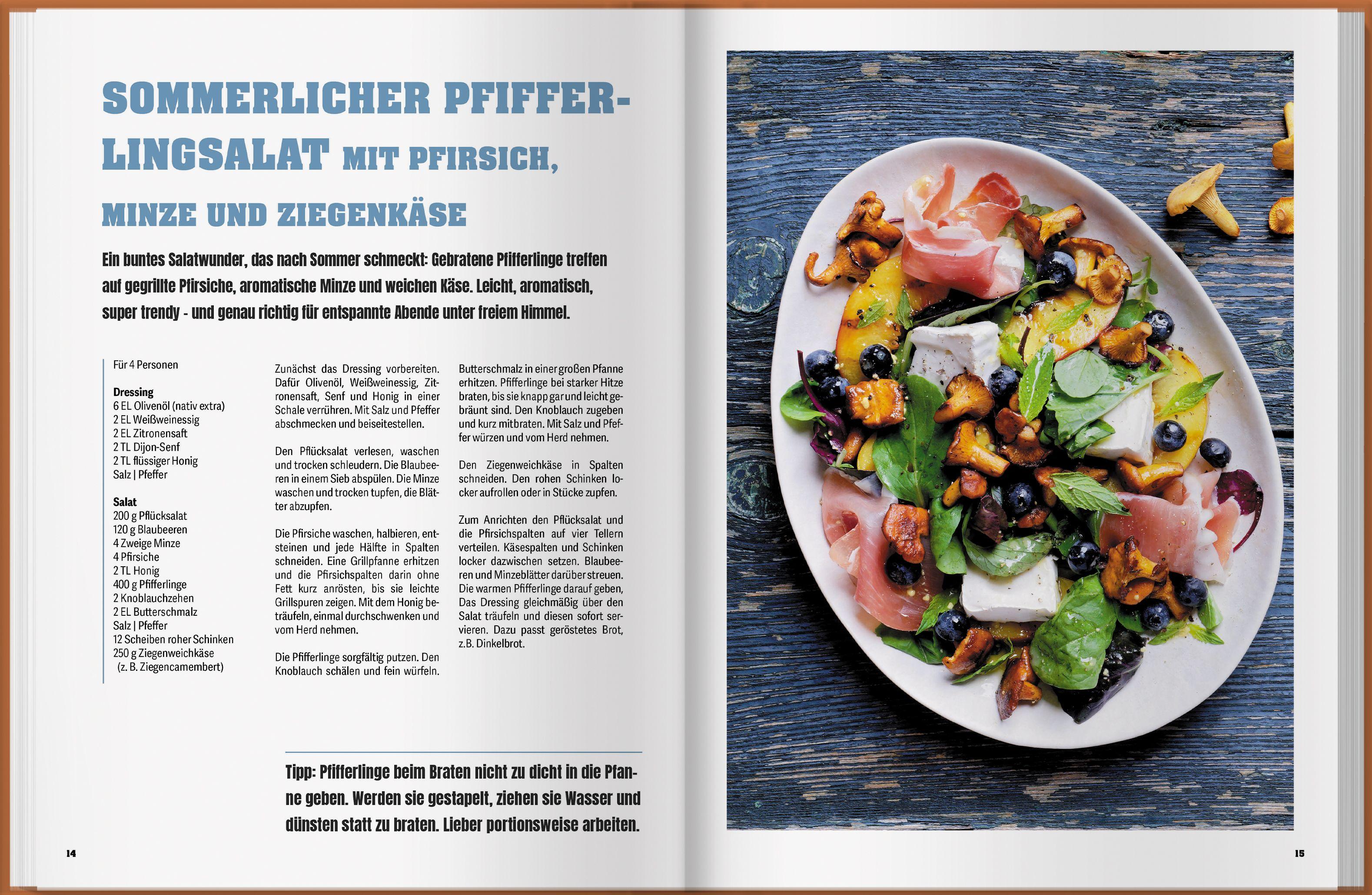 Beispielinhalt (Bild) Pilzküche