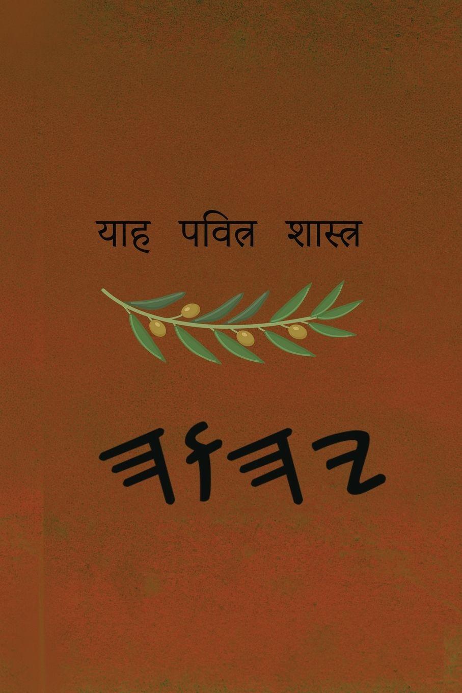 Vorderes Coverbild ਯਾਹ ਪਵਿੱਤਰ ਸ਼ਾਸਤਰ