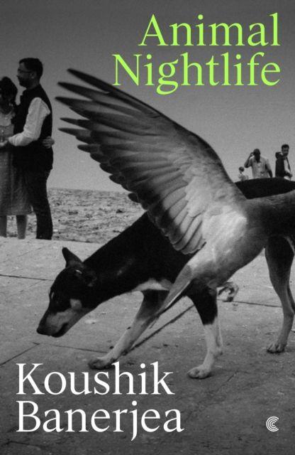 Vorderes Coverbild Animal Nightlife