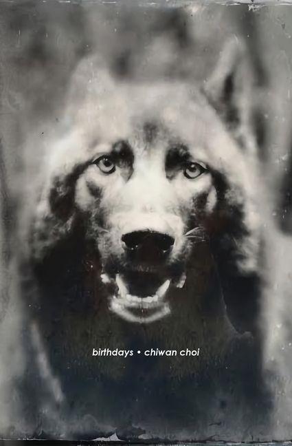 Vorderes Coverbild birthdays