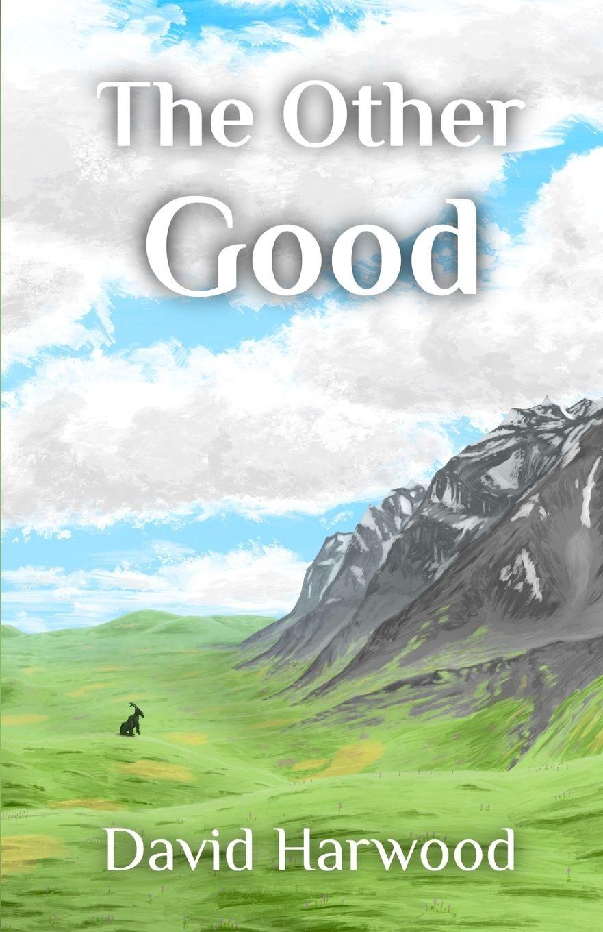 Vorderes Coverbild The Other Good