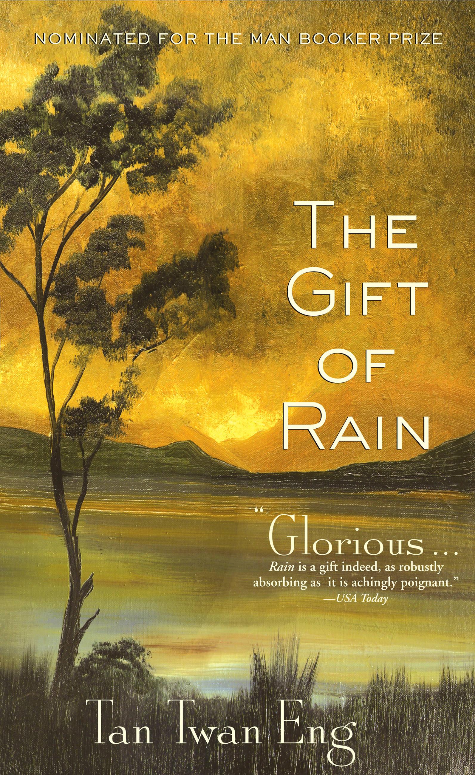 Vorderes Coverbild The Gift of Rain
