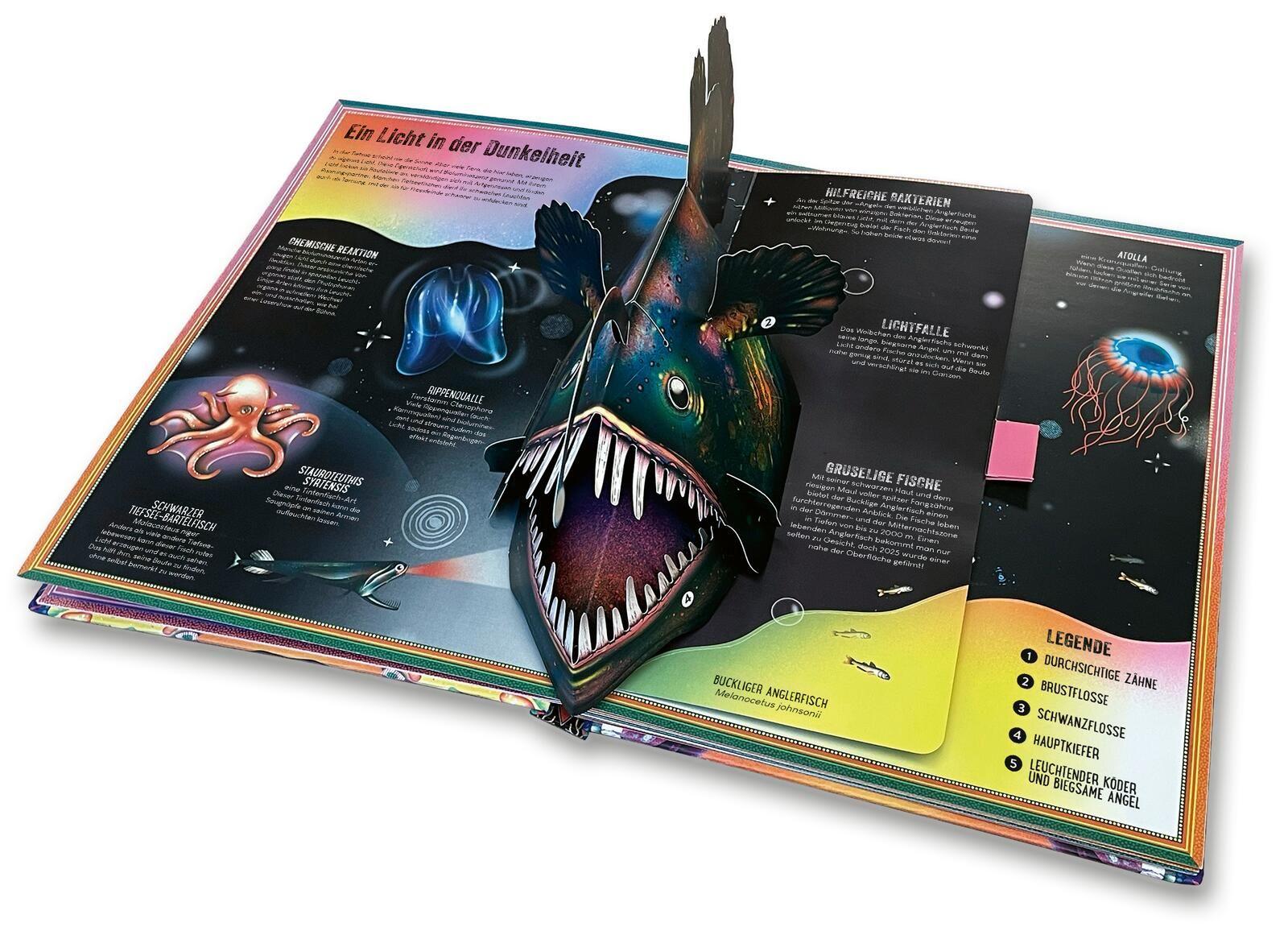 Beispielinhalt (Bild) Das unglaubliche Pop-up-Buch - Tiefsee
