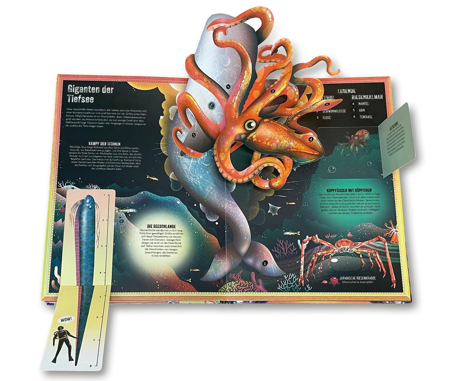 Beispielinhalt (Bild) Das unglaubliche Pop-up-Buch - Tiefsee