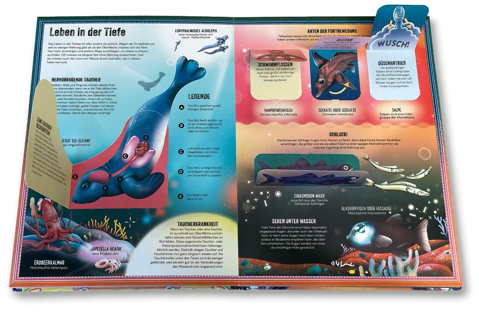 Beispielinhalt (Bild) Das unglaubliche Pop-up-Buch - Tiefsee