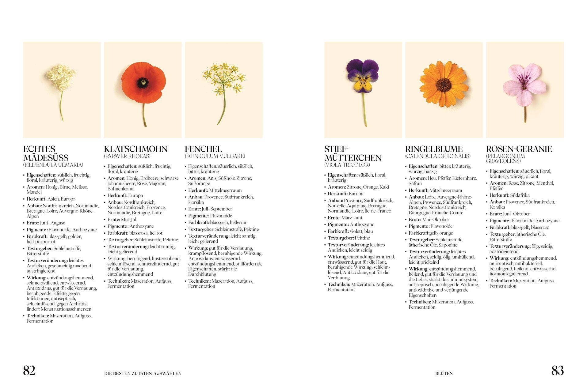 Beispielinhalt (Bild) Sobrelier